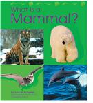 CDP505.jpg